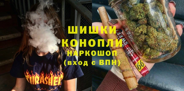 СК Козельск