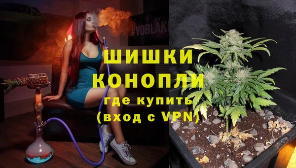 СК Козельск