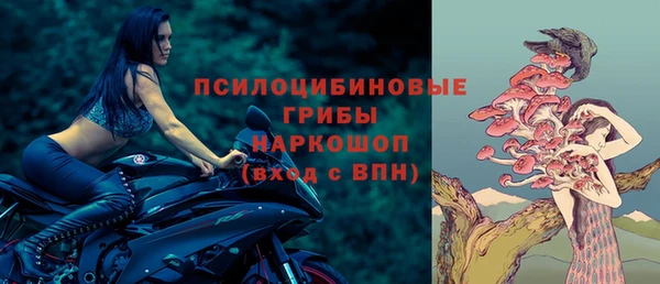 гидропоника Козловка